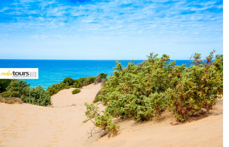 Dune di Piscinas